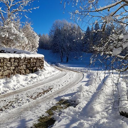 Ch'Tit Jura Bed & Breakfast Les Moussieres Bagian luar foto