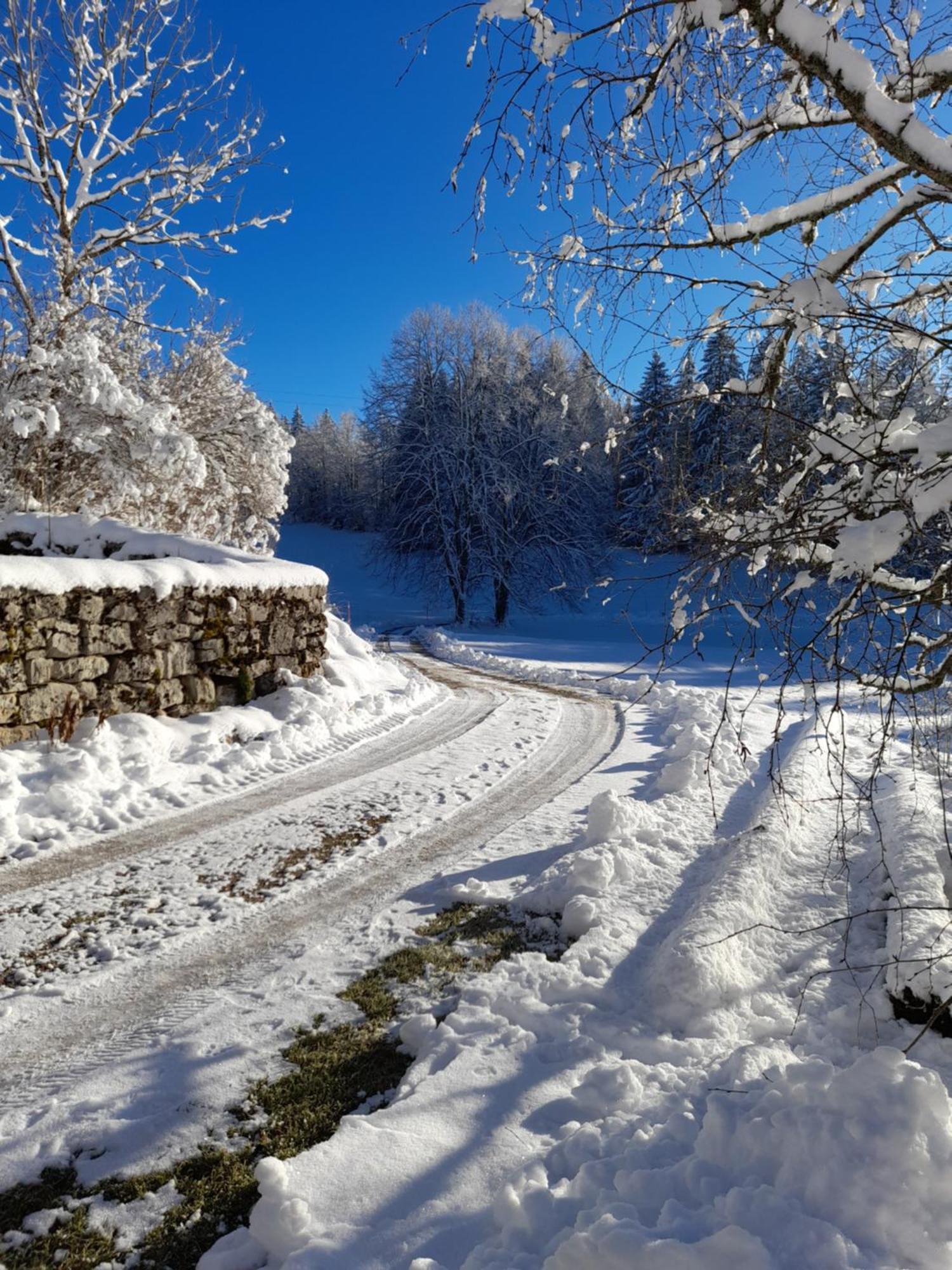 Ch'Tit Jura Bed & Breakfast Les Moussieres Bagian luar foto
